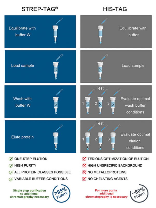 Benefits Of Strep-tag® Vs His-tag Purification